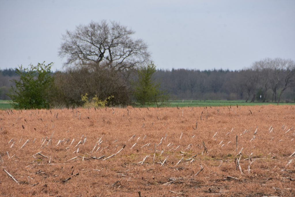 Glyphosat auf Feldern in Wahlstedts Umgebung - April 2023